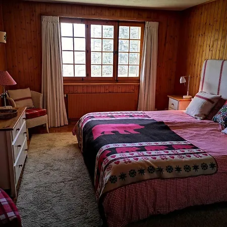 Chalet Gentiane Des Neiges, Near To The Aiglon College *
