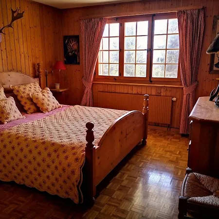 Chalet Gentiane Des Neiges, Near To The Aiglon College